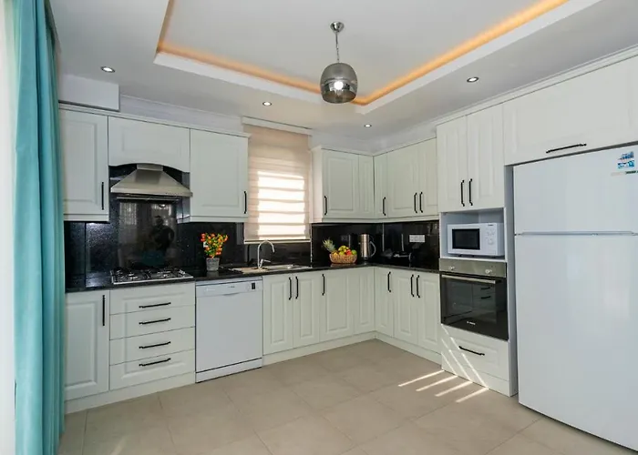 Hisar 1 - 4 Bedroom In Hisaroenue Vila